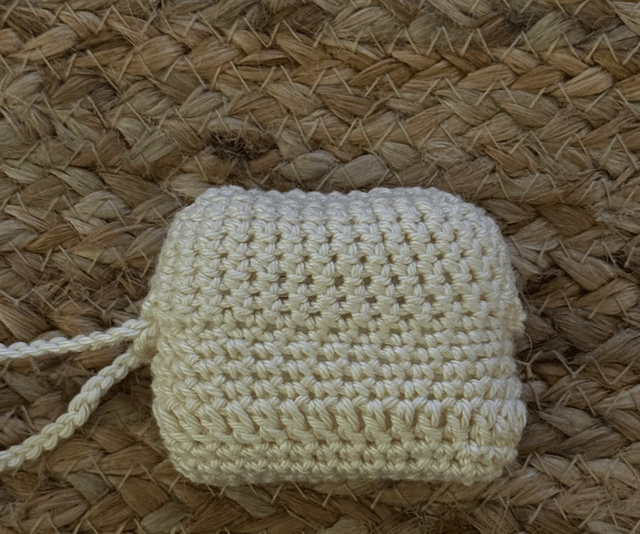 Étui AirPods Pro au crochet V2